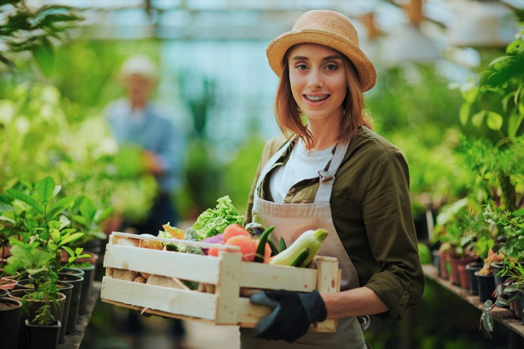 Liderazgo Regional. Productores de hortalizas en Almería